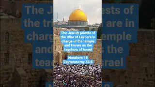 The Jewish Priestly Blessing (Birkat Cohanim) at the Western Wall Passover 2018
