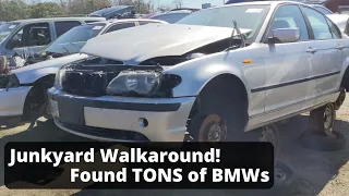 Can you find good BMW parts at the Junkyard?