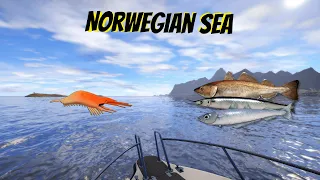 Russian Fishing 4 RF4 - Norwegian Sea - skill + money = 🤫 110 fish and 639 silver in 1 hour