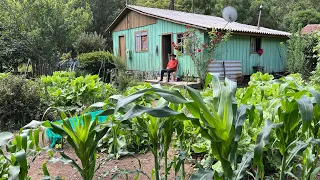 VIVER NESTE LUGAR É MORAR NO PARAISO - JUCA LEÃO