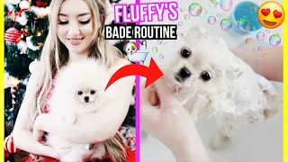 WELPE FLUFFY geht das 1. Mal BADEN in BADEWANNE in meinem HAUS **BEAUTY ROUTINE vom POMERANIAN**