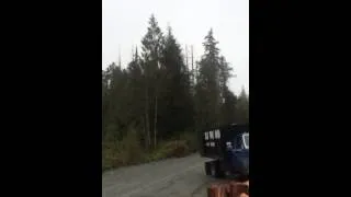 Off highway logging truck loaded to the nutZ