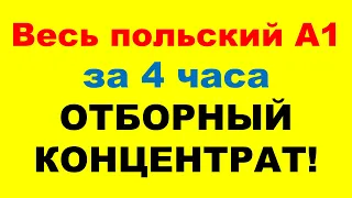 Весь курс А1 в одном видео (все 33 урока). Практический тренажёр. Перевод с русского на польский.