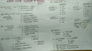 All Upper Limb Muscles & these Nerve Supply - 1 | Scapular Region, Arm, Forearm, Hand