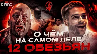 ОНИ не СОШЛИ С УМА | смысл 12 ОБЕЗЬЯН | разбор СПГС