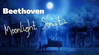 Moonlight Sonata ~ Beethoven 🌚 ~ 1 Hour Version