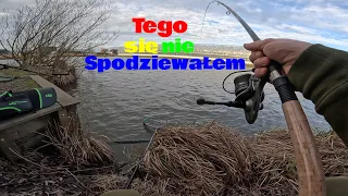 Bestia Z Głębin !!! Podbijamy Rekord Z Method Feeder !!!