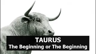 Taurus... The Beginning or The Beginning!