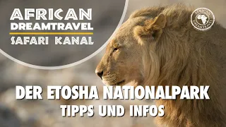 Der Etosha Nationalpark   Highlight in Namibia - Informationen vom Safari Spezialisten