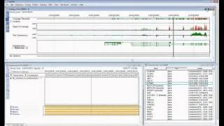 DNASTAR - RNA-Seq Alignment and Analysis Webinar