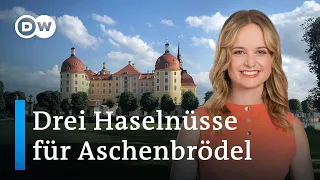 Sachsens schönste Orte | Schloss Moritzburg & Radebeul | Ausfahrt Kultur (Teil 1/7) | DW Doku