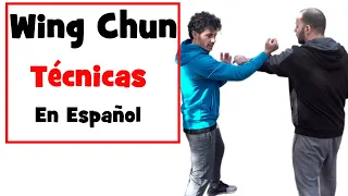 Aprende Wing Chun desde Cero (Bong Sao)