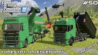 Making WOODCHIPS with SCANIA and JENZ | Forestry on ERLENGRAT | Farming Simulator 22 | Episode 50