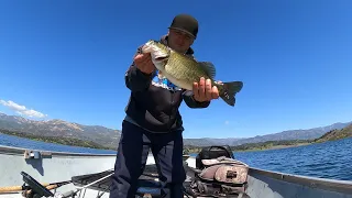 Bass Fishing on a FULL Lake Casitas! (Spring Is Here!) Lake Casitas March 2024