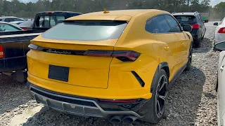 I'M NOT MISSING OUT ON BUYING THIS FROM COPART THIS TIME! *LAMBORGHINI URUS*