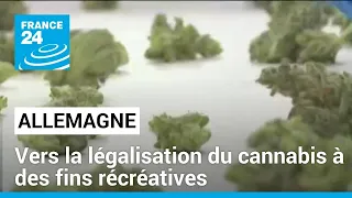 Allemagne : vers la légalisation du cannabis à des fins récréatives • FRANCE 24