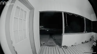 Ghost Spirit Orb caught on Ring Doorbell camera in Texas!  #alien #ghost #orb #scary #paranormal