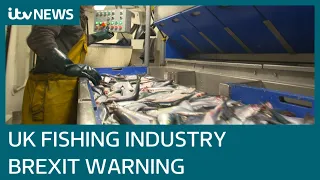 UK fishing industry warns it could pay the price over Brexit row | ITV News