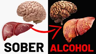 What Alcohol Does to Your Body (It’s Not Good)