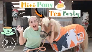 Minature Pony Tea Party *Chaos* | This Esme