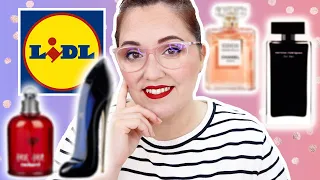 PERFUMES LIDL - Equivalencias, Clones - ¿Cómo saber si me va a gustar sin olerlo?