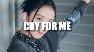 Jisoo Solo - Cry For Me (Jisoo AI Cover)