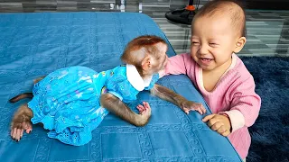 All Super Cute Vvideos Of Monkey Kaka And Diem When They Were Babies