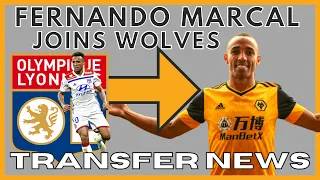 WOLVES SIGN ✍️   FERNANDO MARCAL 🐺  Transfer News & Thoughts