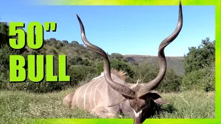 KUDU Bull Hunt- Eastern Cape, South Africa