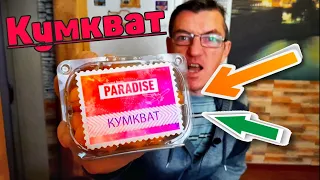 Paradise Кумкват ЧТО ТАКОЕ Кумкват?