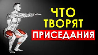 Вот Что Произойдет с Вашим Телом, Если Приседать Каждый День (Впечатляет)