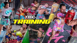 Muay Thai Techniques | YOKKAO Training Course is now LIVE