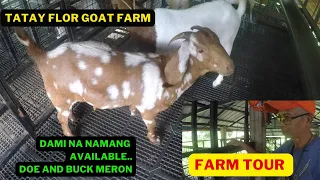 PAGBISITANG MULI SA KAMBINGAN NI TATAY FLOR/GOAT FARMING PHILIPPINES/BOER GOAT BREEDER