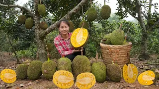 Mother of Two Children Collects Jackfruit | Make Jackfruit Cake | Vietnamese traditional Cooking