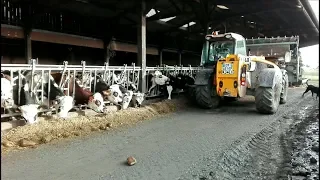 Une journée à la ferme en hiver 2019