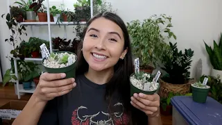 First Plant Mail Unboxing