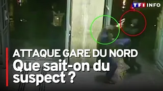 Attaque au couteau à la gare du Nord : le scénario de l'agression et le profil du suspect