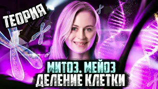 «Деление клетки. Митоз. Мейоз» | Теория | Биология ЕГЭ — Напольская Ксения