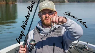 Bass Fishing Tips : Deep Winter Swimbaits