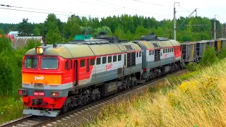 "Ещё одна Машка!" Тепловоз 2М62-1206 с длинным путевым хозяйственным поездом