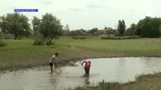 На спасение мальков вышли более двухсот астраханских активистов