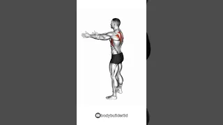 perfect 5 minute posture routine (fix your  sit!)  #shorts #posture