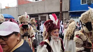 carnaval P. b  2024 BARRIO del Carmen con la musica del barrio de los reyes 188