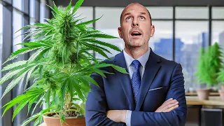 Cannabis-Legalisierung: Bundestag sagt JA - doch neue Probleme drohen! | Anwalt Christian Solmecke