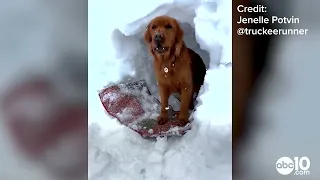 California Winter Storm: Scenes from around Northern California 3/11-3/12