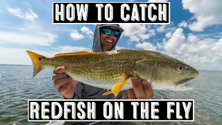 Redfish on the Fly Everything You Need to Get Started