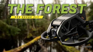 Flying Through a Rainy Forest Wonderland | FPV Drone Adventure [Dji AVATA]