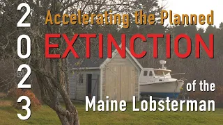 2023: Accelerating the Planned Extinction of the Maine Lobsterman