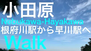 【神奈川/小田原】根府川駅から早川駅を歩く！海の見えるWalk！(Full バージョン)/WALK,Nebukawa-Hayakawa,Odawara,Kanagawa,Japan