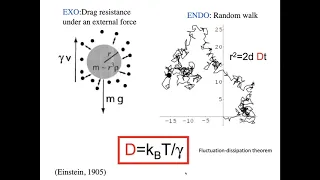 CCSS Societal Discussion #11: The 'endo-exo' problem in complex systems